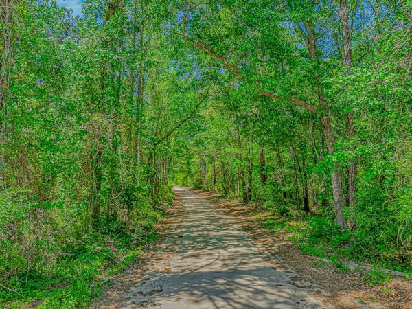 TBD Piney Grove Church Rd , Gresham, SC 29546