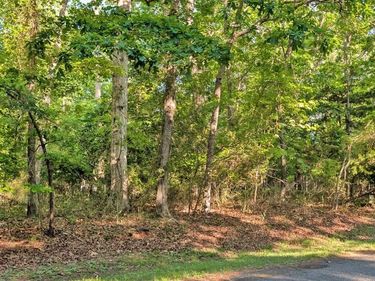 Lot 2466 BOUNTY COURT , GREENBACKVILLE, VA 23356