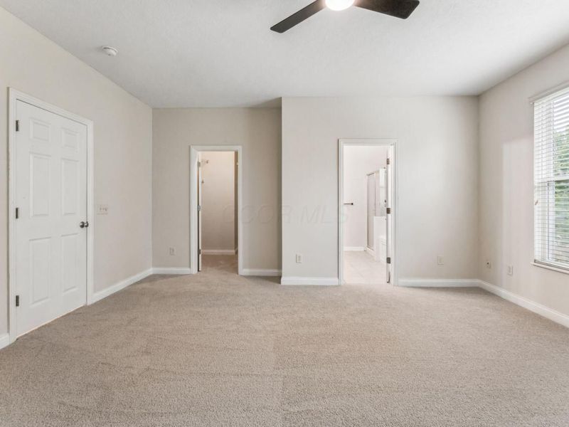 4127 Certaldo Drive, Columbus, OH 43219 Photo 11