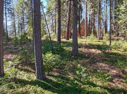 2629 Valley View Dr, Arnold, CA 95223 Photo