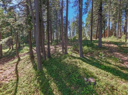 2629 Valley View Dr, Arnold, CA 95223 Photo