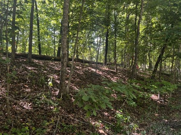 Lot 12 Block 8 Riding Lane, Bella Vista, AR 72714