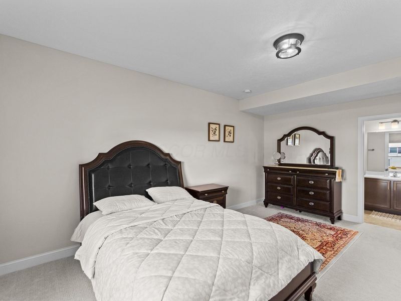 6452 Scarlett Lane, Dublin, OH 43016 Photo 50