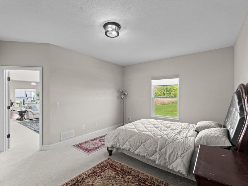 6452 Scarlett Lane, Dublin, OH 43016 Photo 53