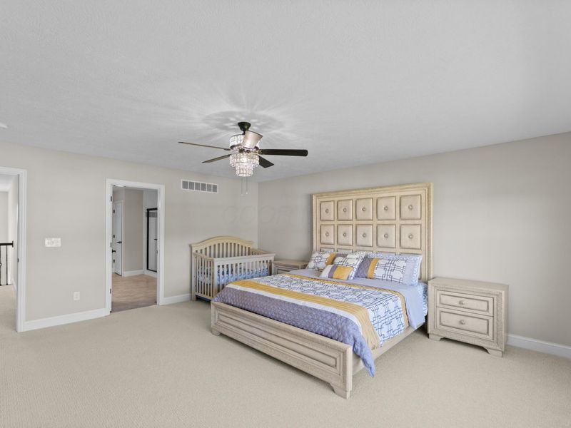 6452 Scarlett Lane, Dublin, OH 43016 Photo 61