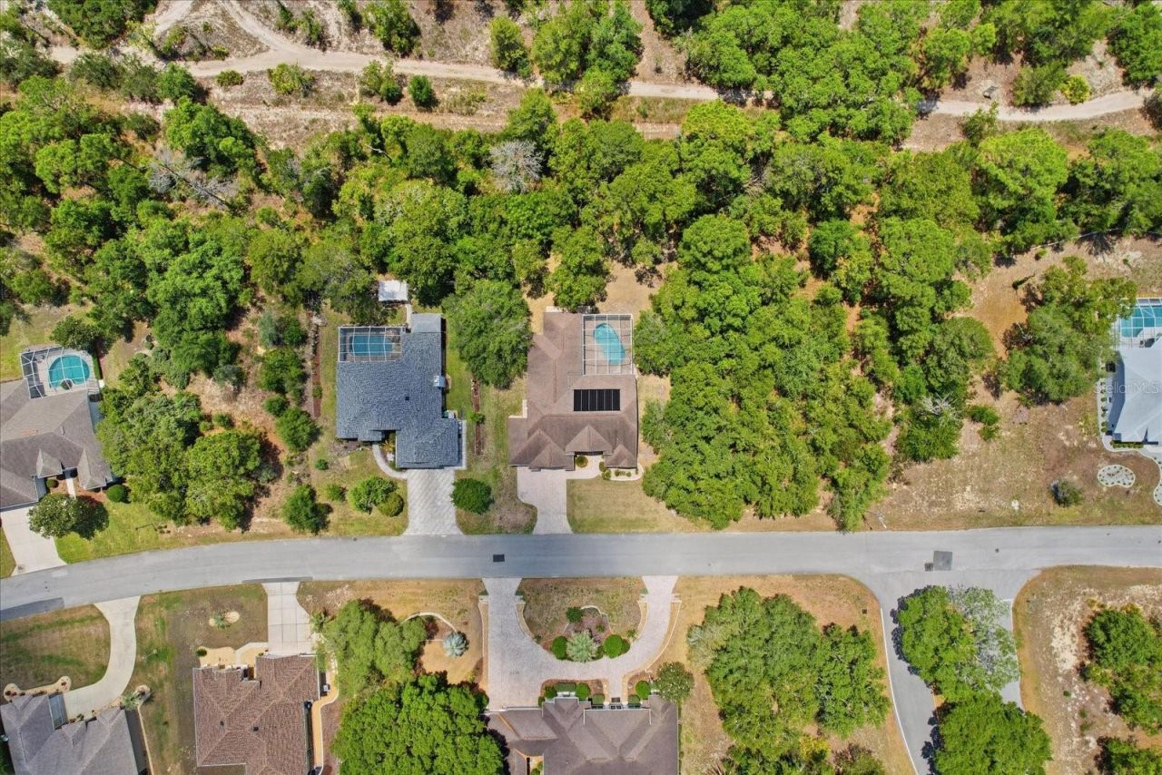 4 Poppy Court , Homosassa, FL 34446 Photo