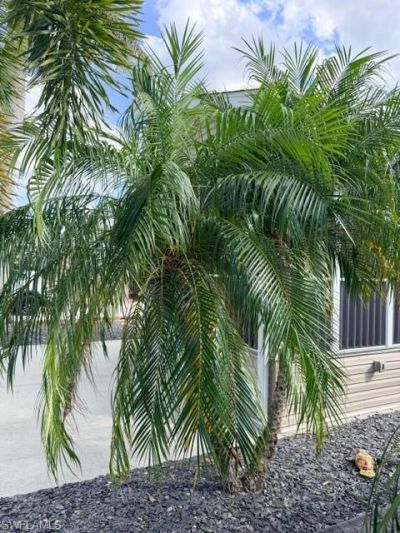 5471 Cypress Trail Resort Cir , Fort Myers, FL 33905 Photo
