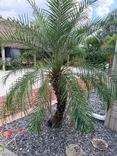 5471 Cypress Trail Resort Cir , Fort Myers, FL 33905 Photo