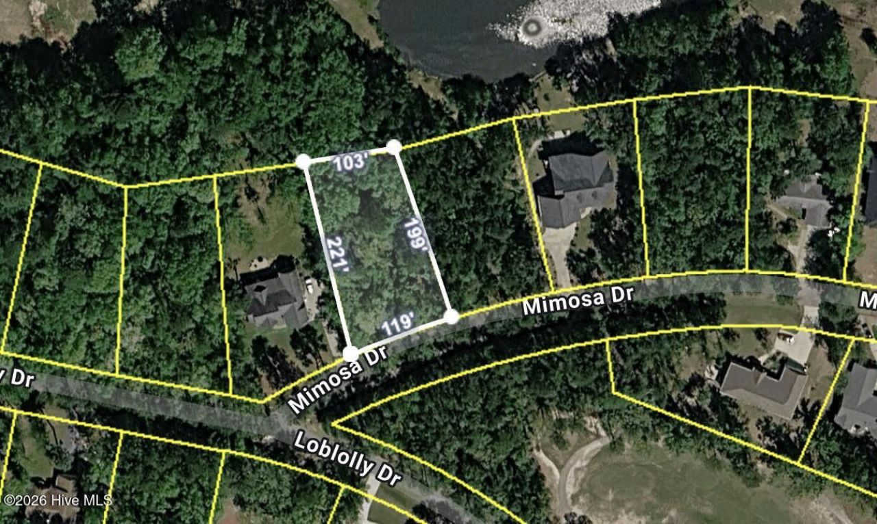 707 Mimosa Drive, Vass, NC 28394 Main Photo