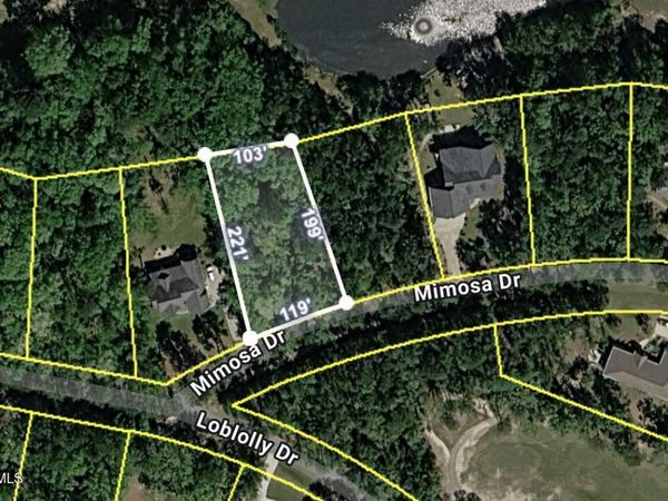 707 Mimosa Drive, Vass, NC 28394