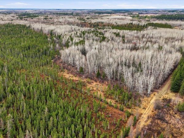 TBD Town Road #55 , Big Falls, MN 56627