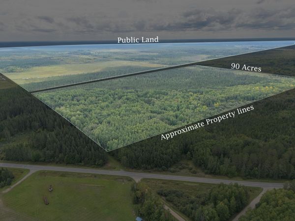 TBD Town Road #55, Big Falls, MN 56627