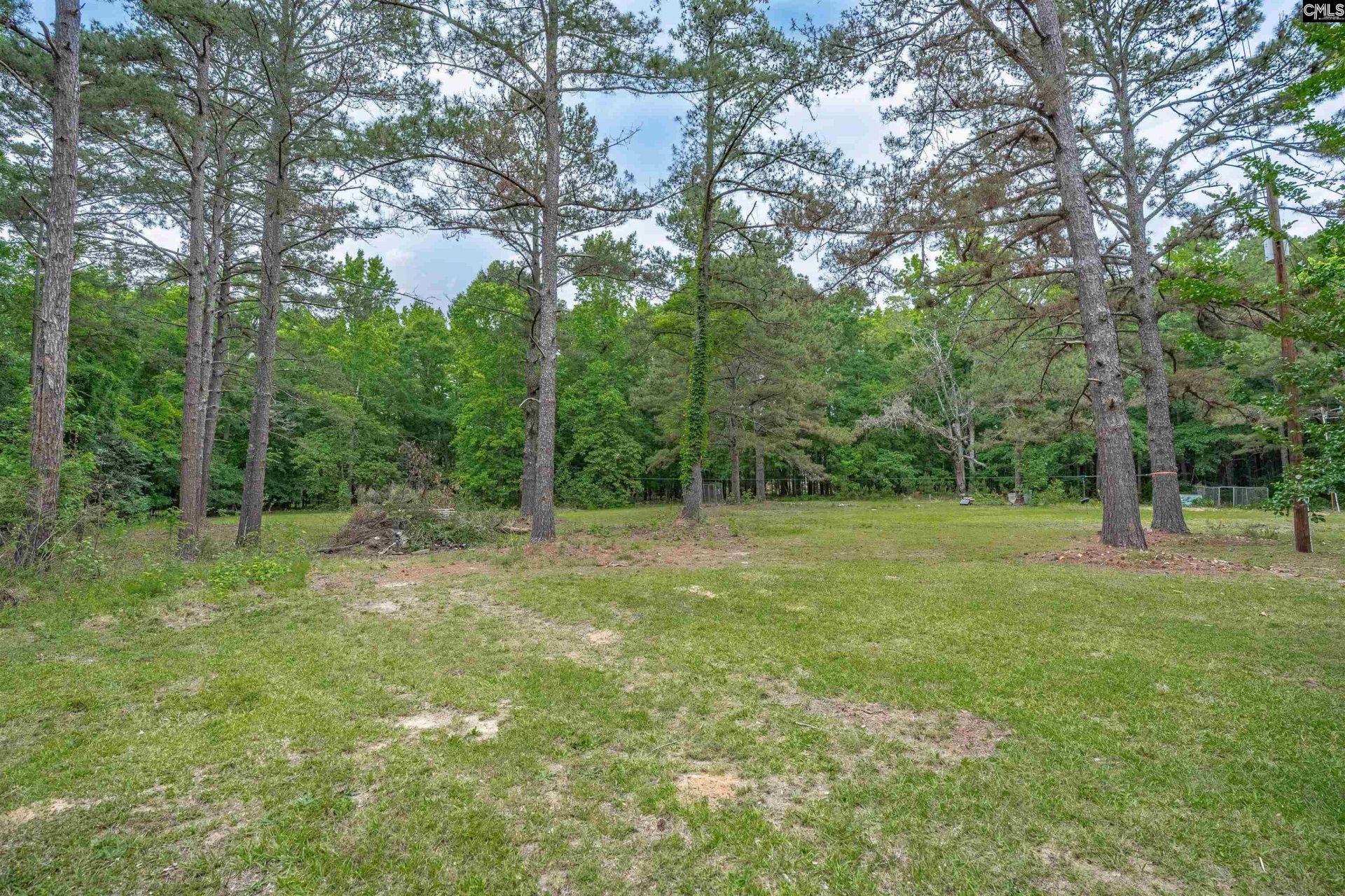 275 Walter Rawl Road  Photo 37