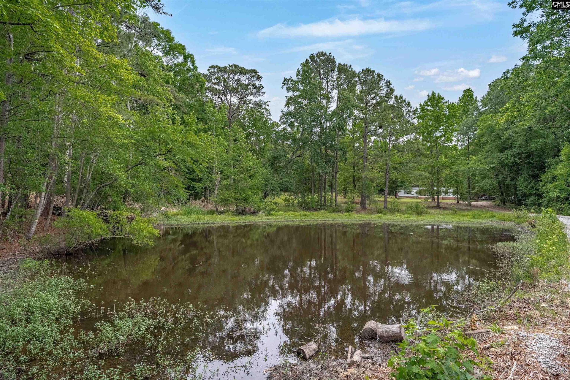 275 Walter Rawl Road  Photo 39