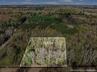 #AAA V/L Maplegrove Lane , Vassar Twp, MI 48768