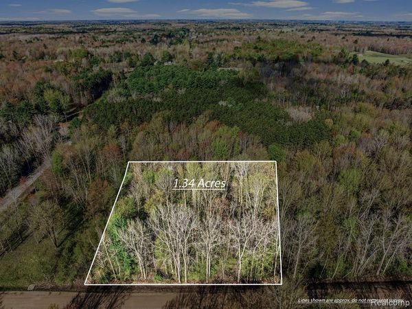 #AAA V/L Maplegrove Lane , Vassar Twp, MI 48768