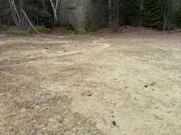 Lot 7 Bog Road, Enfield, NH 03748