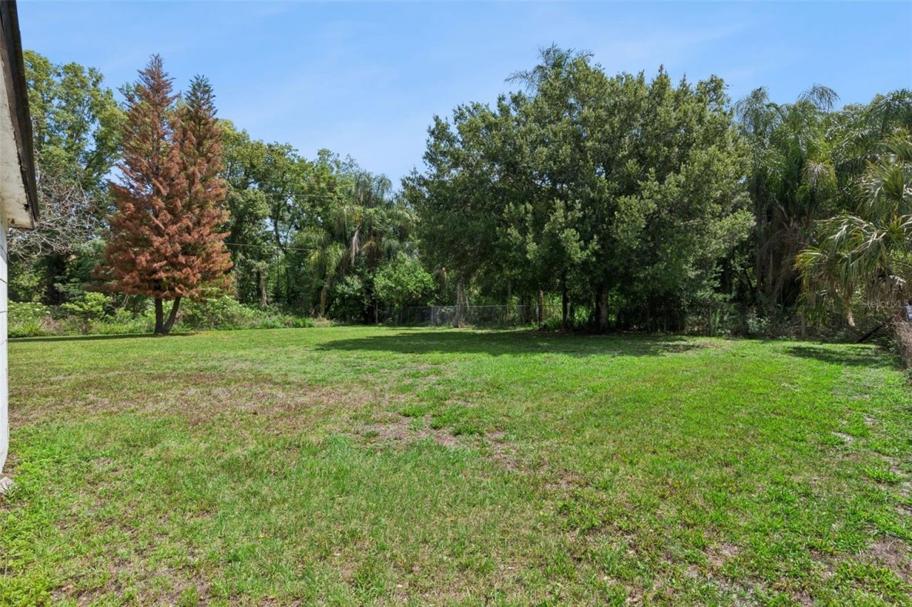1203 Sasoon Avenue, Orlando, FL 32803 Photo