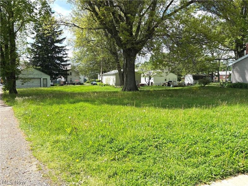 233 S Vine Street, Columbiana, OH 44408 Photo 2