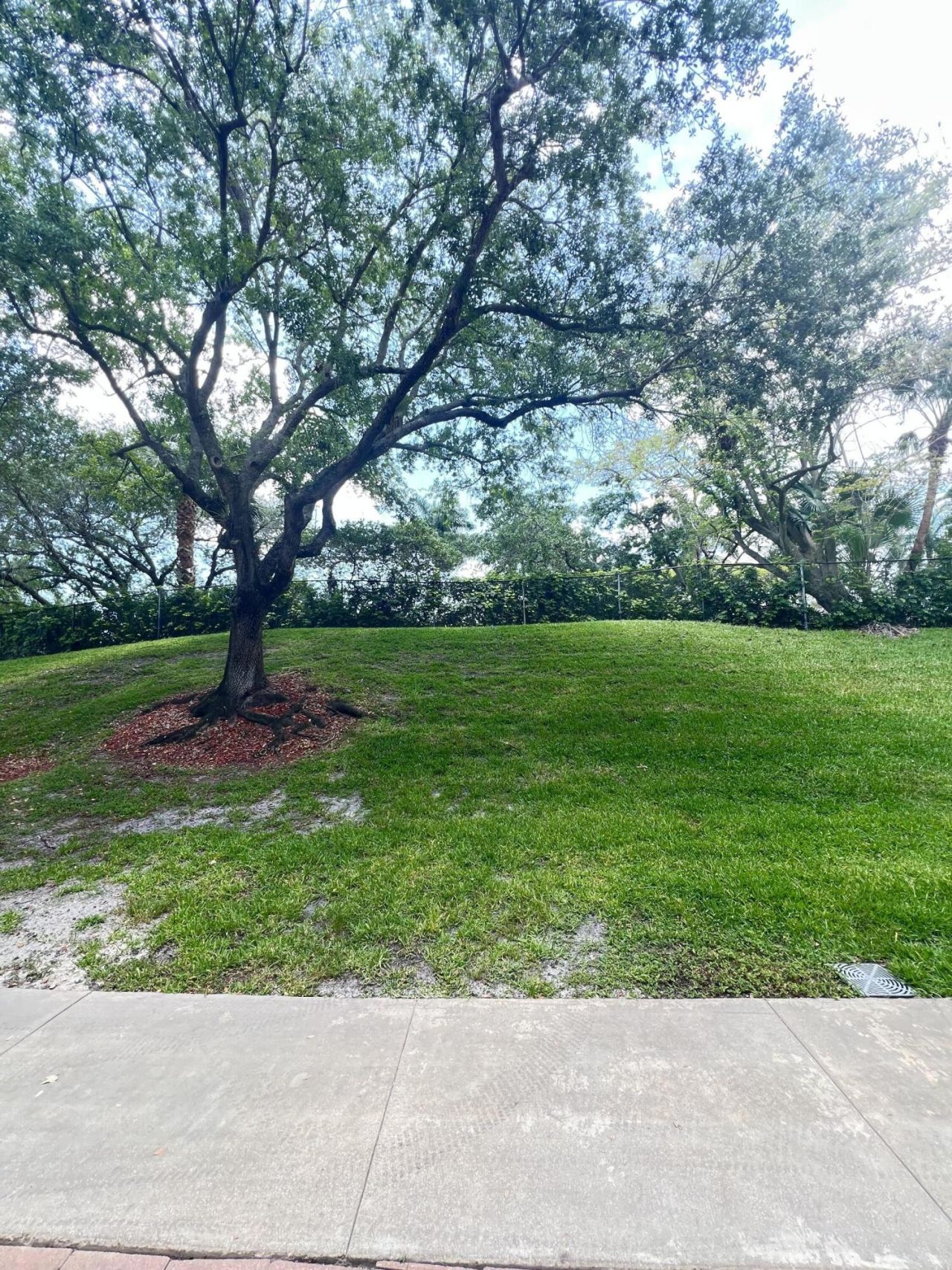 11780 St Andrews Place, Unit 105, Wellington, FL 33414 Photo