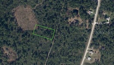 734 Dolphin Avenue, Lake Placid, FL 33852 Photo