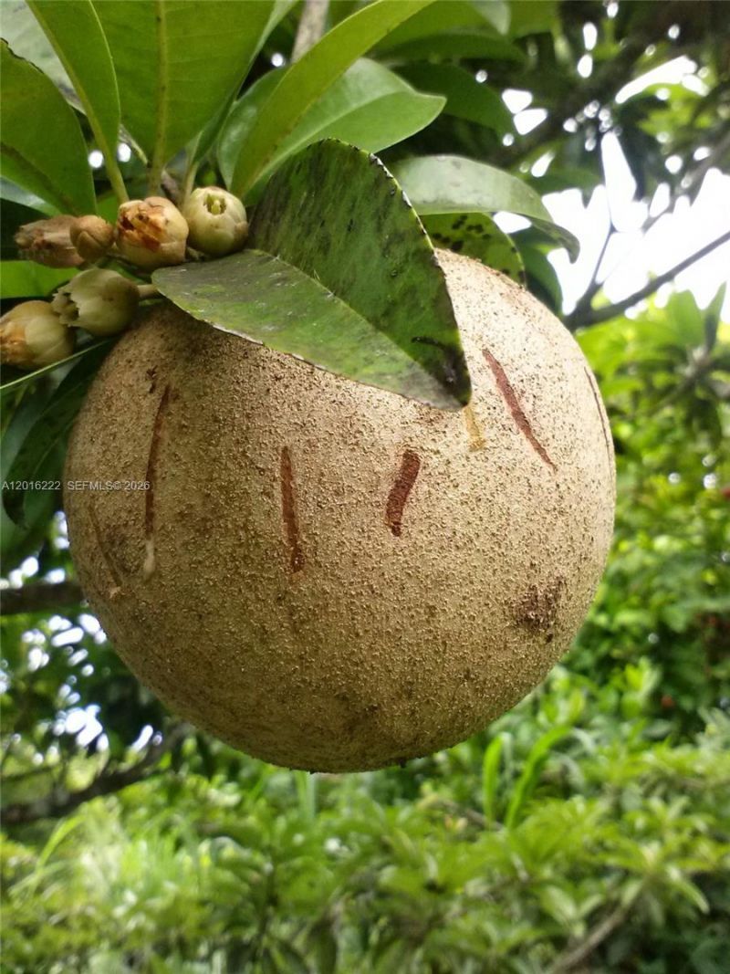 19675 SW 165 Avenue, Miami, FL 33187 Photo