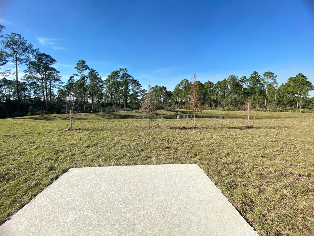 3947 Willowbrook Drive , Edgewater, FL 32141 Photo