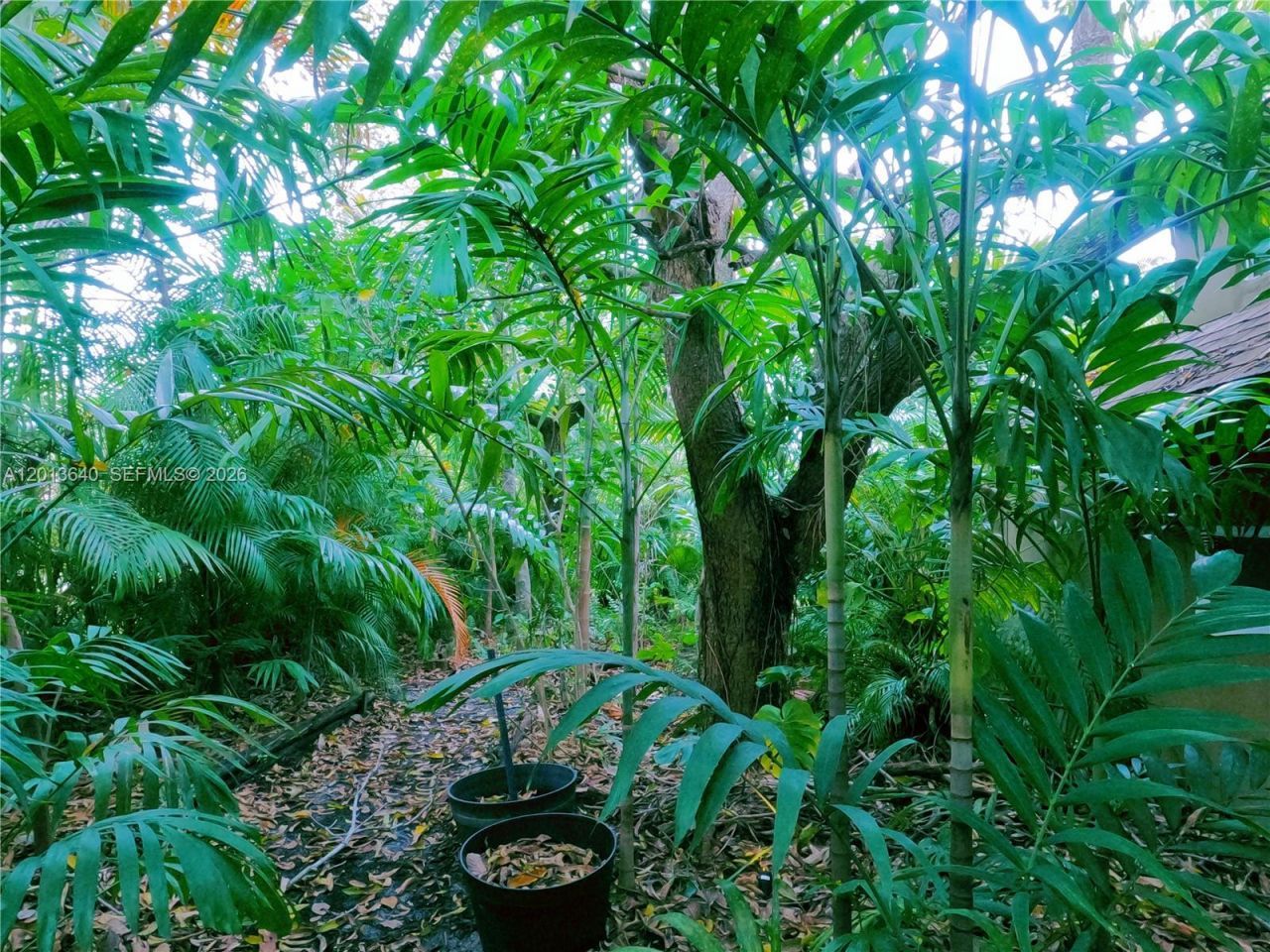 Please Call For Address, North Miami, FL 33168 Photo
