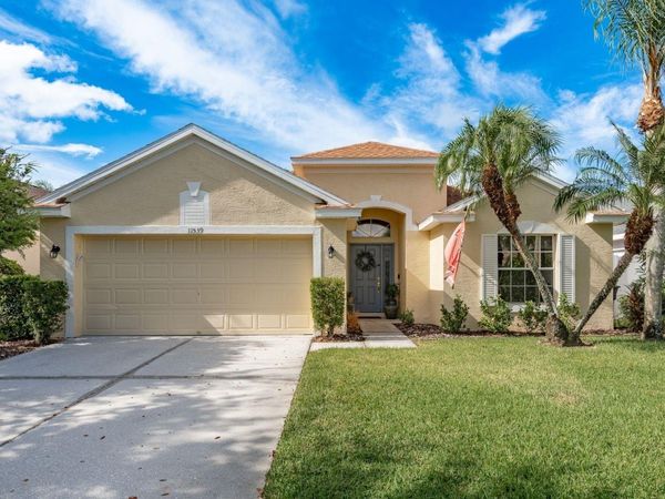 11539 CYPRESS RESERVE DRIVE , TAMPA, FL 33626