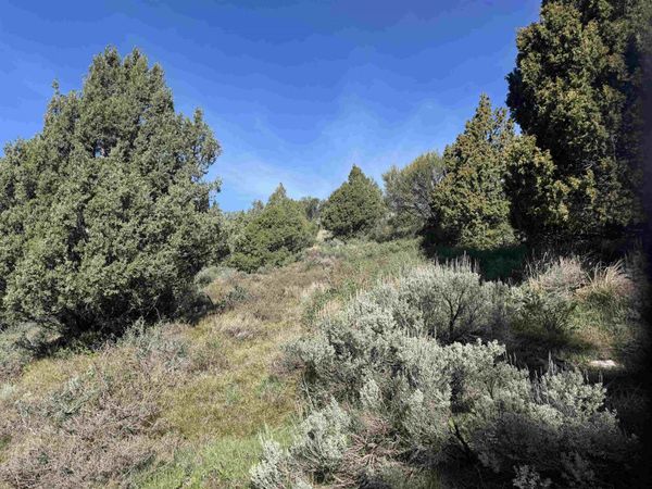 Lot 83 Anthony Circle, Lava Hot Springs, ID 83246