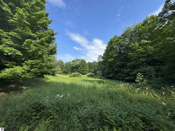 Beeman Road W, Empire, MI 49630