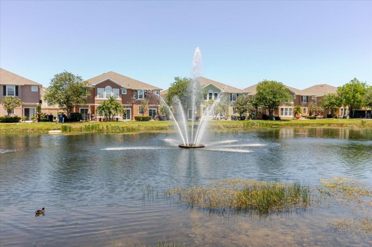 602 51st Avenue N, Saint Petersburg, FL 33703 Photo