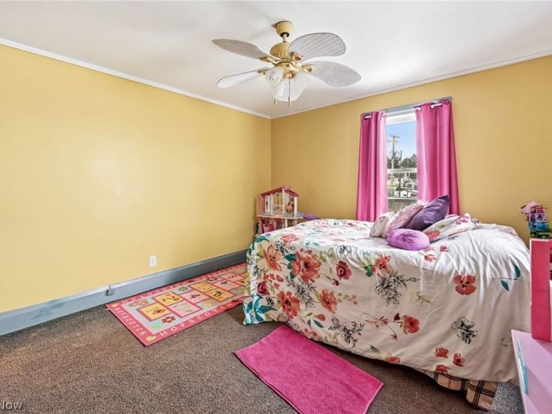 15 S Portland Avenue, Youngstown, OH 44509 Photo 24