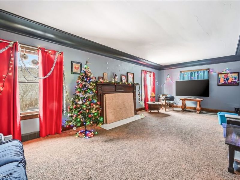 15 S Portland Avenue, Youngstown, OH 44509 Photo 9