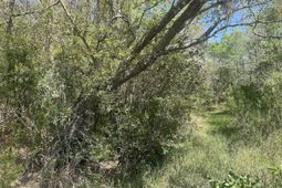 2492 Boy Scout Road photo 4