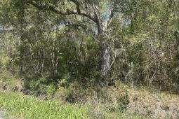 2492 Boy Scout Road photo 4