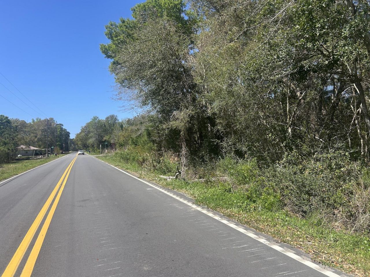2492 Boy Scout Road Photo 6