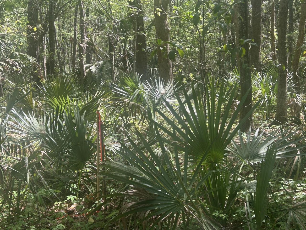 2492 Boy Scout Road Photo 8