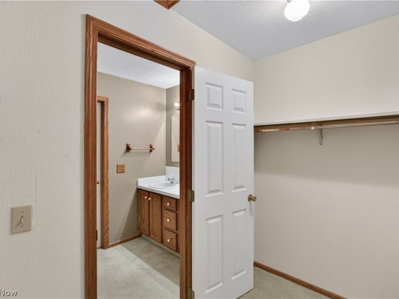 1338 Sharonbrook Drive, Twinsburg, OH 44087 Photo 26