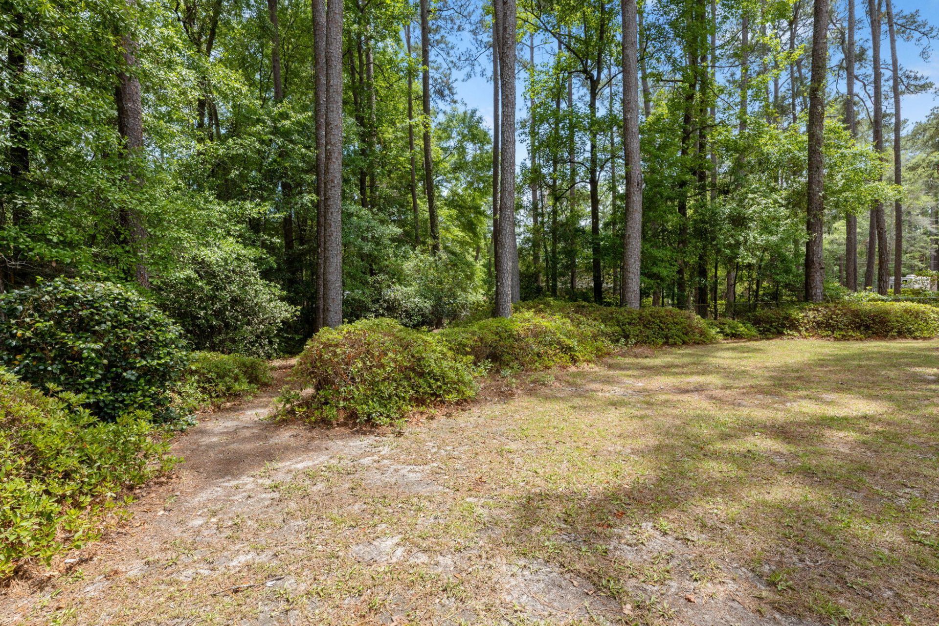 311 Sable Street Photo 43