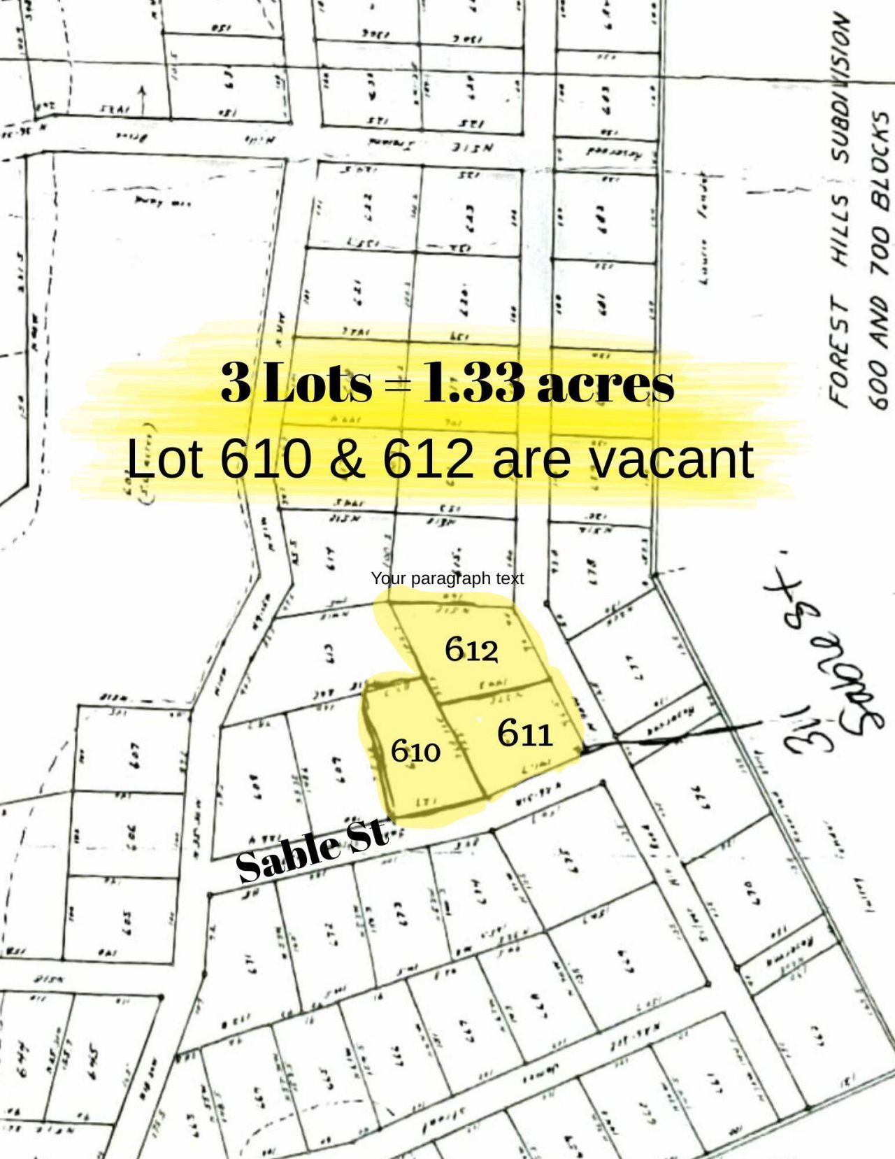 311 Sable Street Photo 46