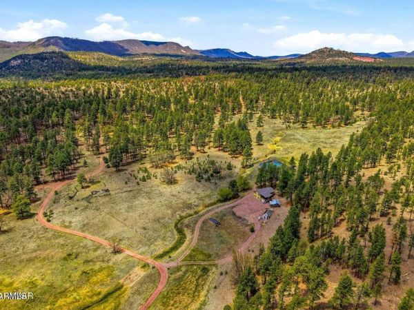 28 COUNTY ROAD 2310, Alpine, AZ 85920