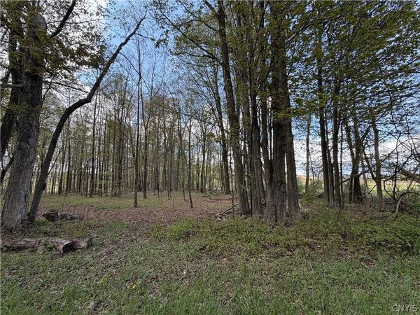 Rt-167 , Jordanville, NY 13361
