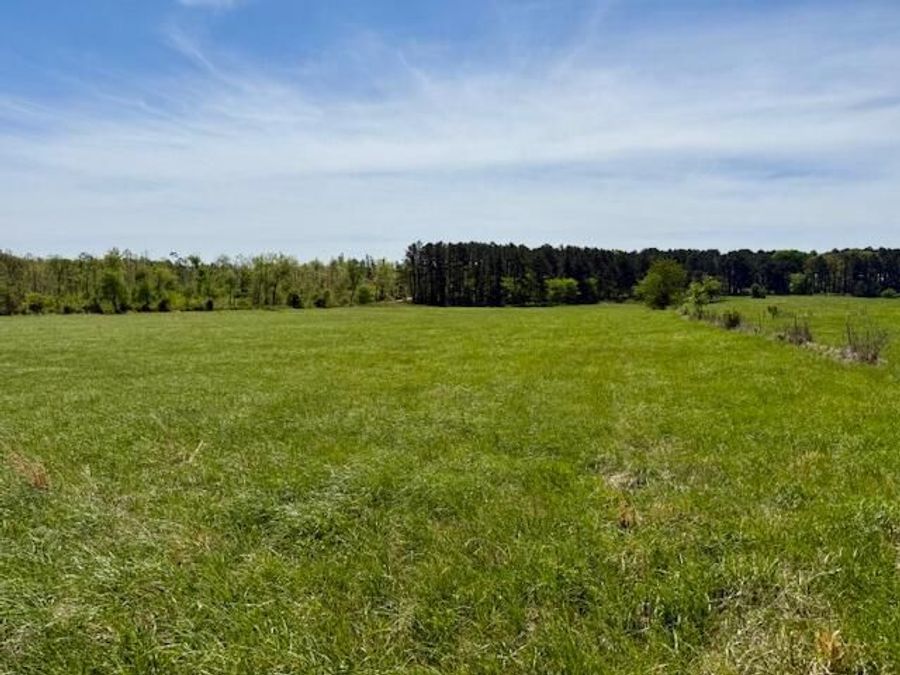 Property Image 64