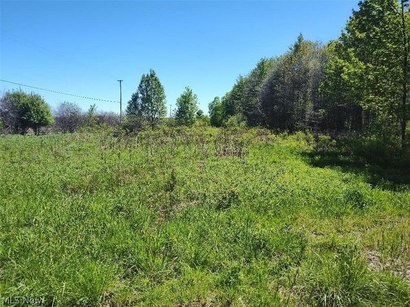 3082 Fobes Road, Rock Creek, OH 44010 Photo 3