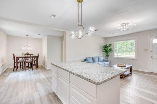 1091 Spring Plains Road Photo 6