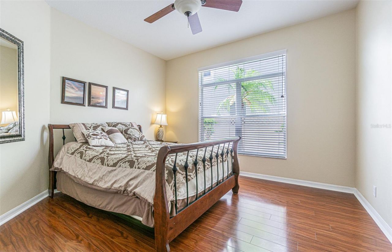 3356 Zack Drive , Dunedin, FL 34698 Photo