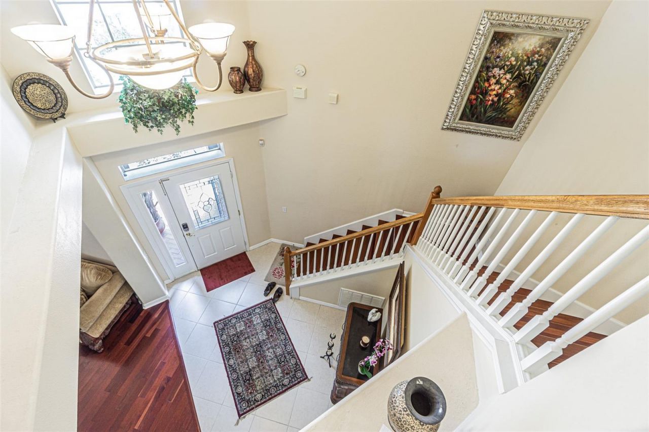 3356 Zack Drive , Dunedin, FL 34698 Photo