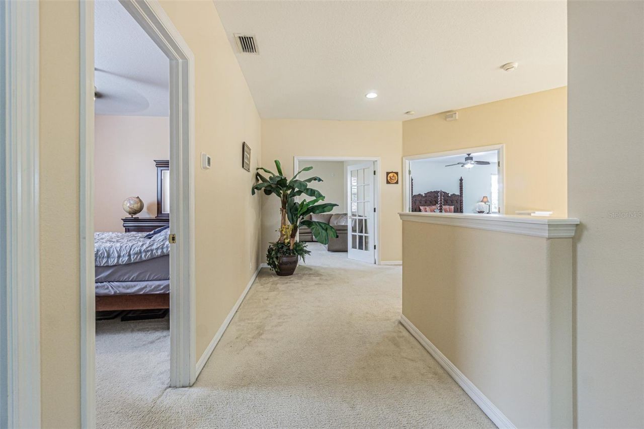 3356 Zack Drive , Dunedin, FL 34698 Photo