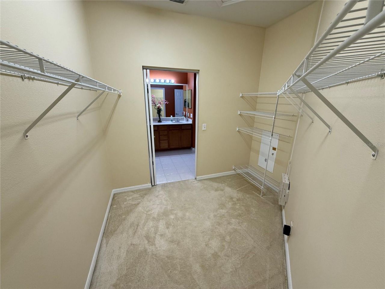3356 Zack Drive , Dunedin, FL 34698 Photo